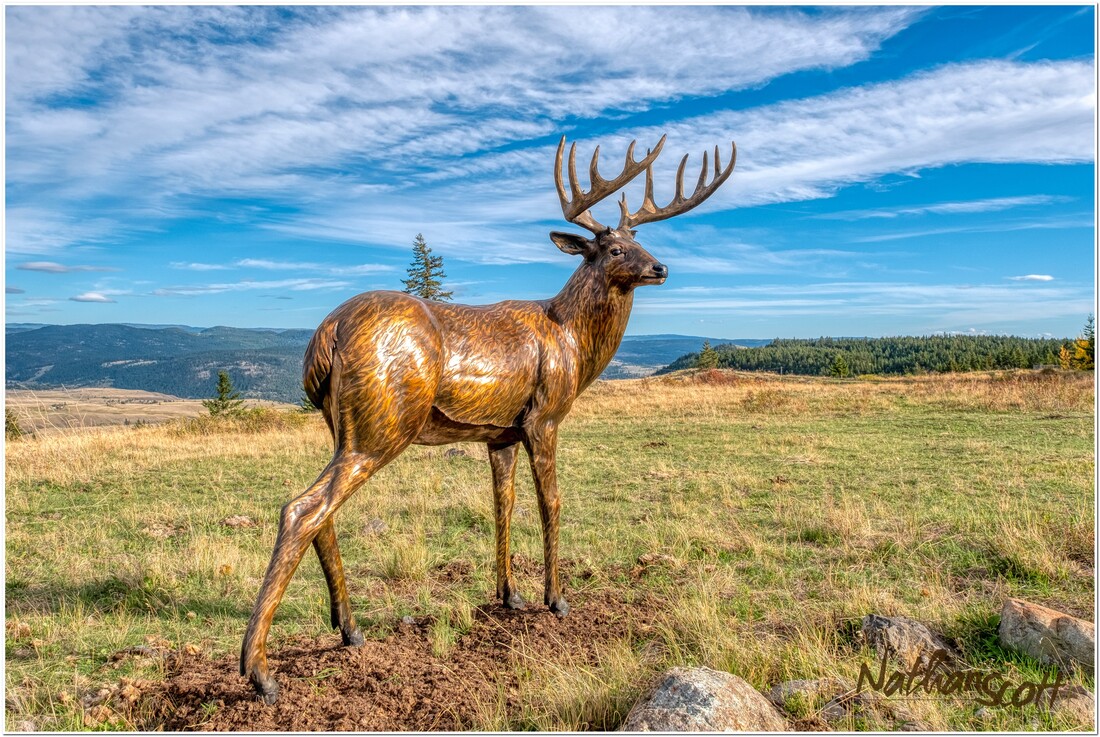 bronze buck wildlife statue private commission nathan scott sculpture